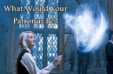 What Would Your Patronus Be?