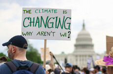 Poll: Do you do anything practical to help the environment?