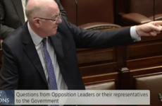 Minister: 'I will not have my good name and reputation traduced by deputy Alan Kelly'