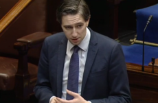 Minister orders report into vaginal mesh devices after Irish women experience 'constant pain'