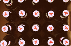 Molson Coors' Irish losses have doubled as pub beer sales dry up