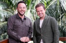 Poll: Would you be bothered watching I'm A Celebrity?