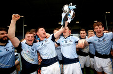 From torn cruciate in club football game to Munster hurling champion in the space of 15 months