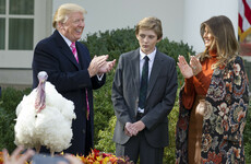 Trump pardons Thanksgiving turkeys and jokes that Obama's turkeys are also safe from the chop