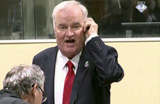 'Butcher of Bosnia' Mladic imprisoned for life after being found guilty of genocide