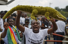 Zimbabwe's next leader nicknamed 'The Crocodile' prepares to take power