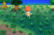 16 memories you'll have if you played Animal Crossing growing up