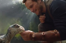 People are losing it over this clip of Chris Pratt and a baby raptor from the new Jurassic World movie
