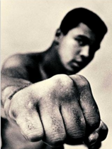 Which of these 7 sports books deserves to win the prestigious William Hill prize?