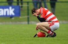 Preview: Little to choose between the Fitzgibbon Cup's final four