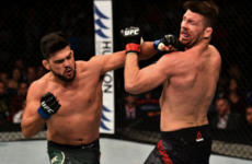 Bisping suffers ferocious KO defeat just three weeks after losing UFC title