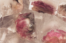 A lot of people were grossed out by the ice cubes that Kim Kardashian had at her baby shower