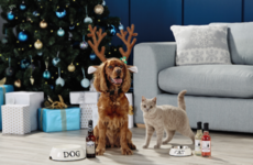 Aldi are now selling a healthy beer and 'Pawsecco' for cats and dogs