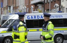 Two arrested over cannabis plant seizure