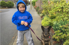 Celebs are trying to get dictionaries to include a new word that a 6-year-old boy invented