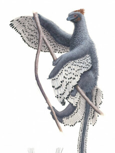 Scientists have managed to recreate exactly what this fluffy, toothy dinosaur looked like