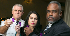 A US plan to reduce domestic violence and murder may be rolled out in Clare
