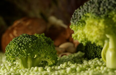 Poll: Do you consider yourself a fussy eater?