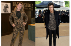 Harry Styles has revealed that Shania Twain is his main fashion influence... it's The Dredge