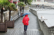 Dublin council is recruiting outside help to look after the unloved Liffey boardwalk