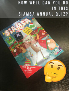 How Well Can You Do In This Siamsa Annual Quiz?