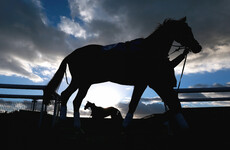 Three Irish jockeys handed two-year bans for cocaine use