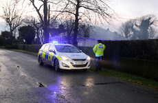 Investigation launched after man's body found in Co Meath field