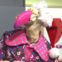 Dustin the Turkey made a gas return to television to discuss his new book on Saturday AM