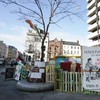 Poll: Should the Occupy Dame St camp move for St Patrick's Day?