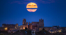The supermoon had people staring wide-eyed at the heavens last night
