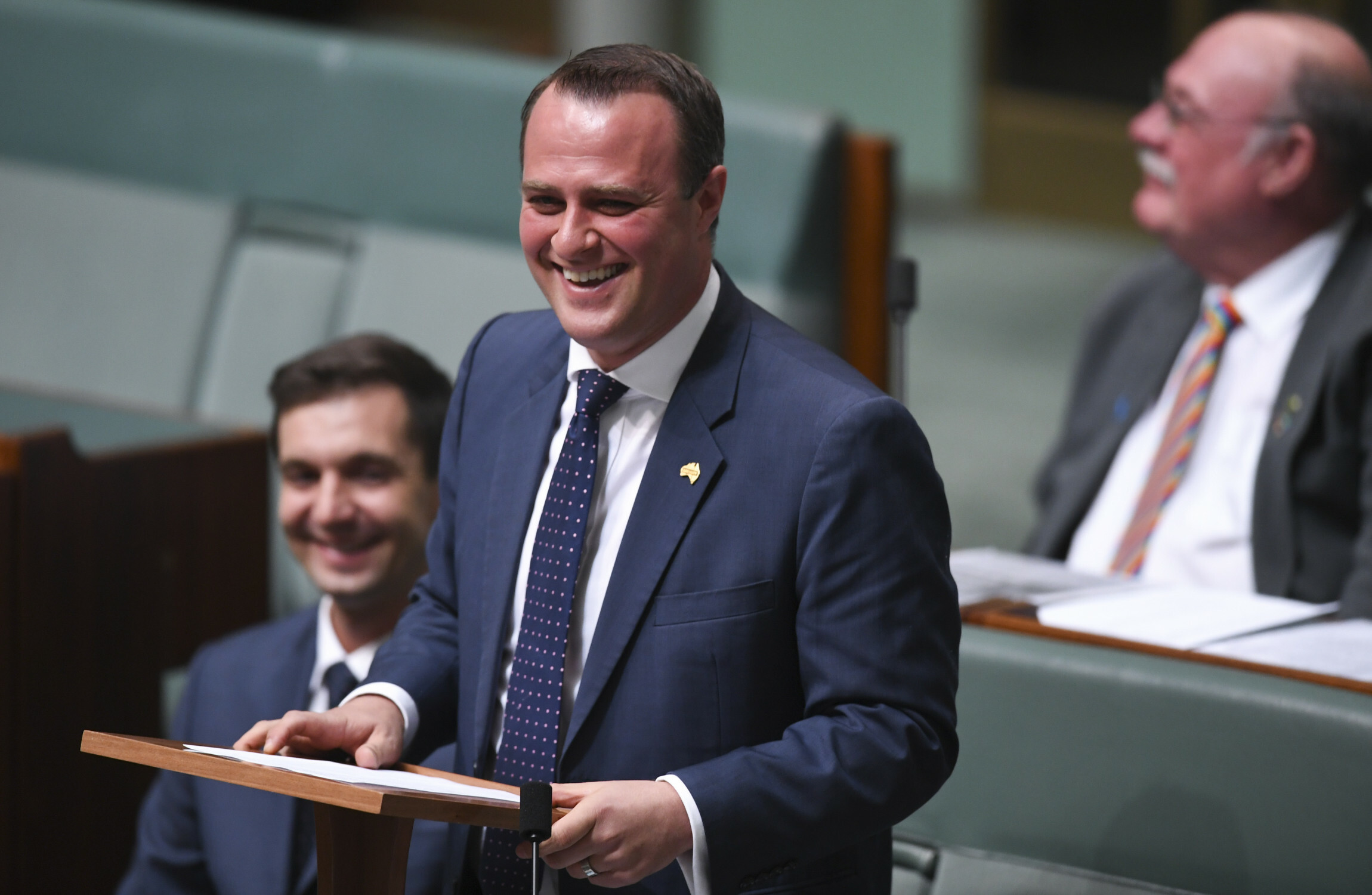 Australian MP proposes during same-sex marriage debate in House of ...