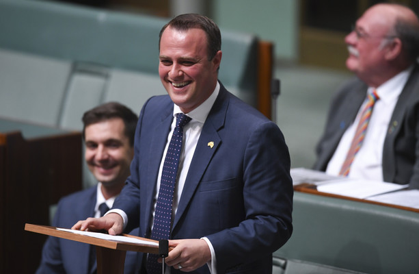 Australian Mp Proposes During Same Sex Marriage Debate In House Of Representatives