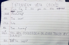 An interview an Irish kid did with her pet cat is going insanely viral
