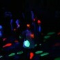 Watch: Russian election camera captures disco at polling station