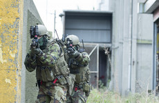 Photos: More than 500 members of Defence Forces take part in major terrorist incident exercise