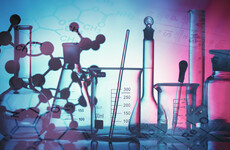 'Like the Trump White House, we don't have an independent scientific adviser'