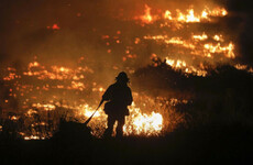 'I didn't know if we'd make it': Homes and horses burned as 200,000 flee wildfires in California