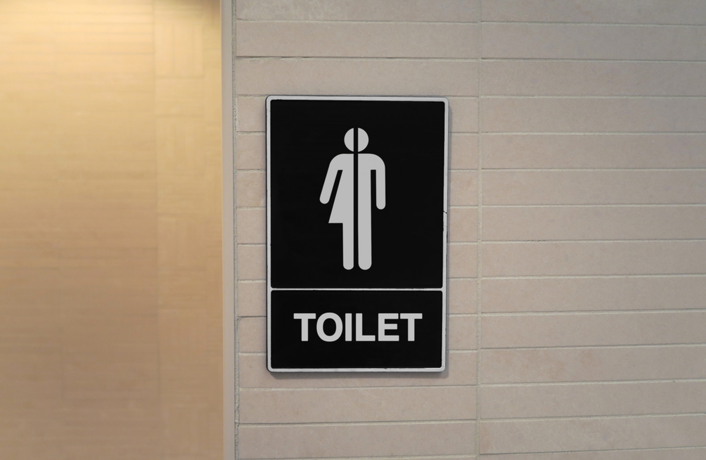 Lesbian Toilet Slaves