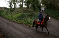 Nicholls: Kauto 'heading in the right direction'