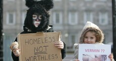 In pictures: cat protest takes place outside the Dáil