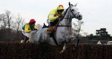 Politologue wins the Tingle Creek for Nicholls as Fox Norton comes up just short