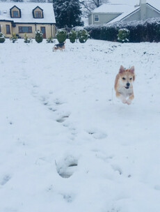 PHOTOS: It's snowing in many parts of the country