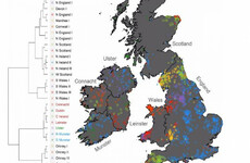 Are Irish people really that diverse genetically? Now, we have a much better idea