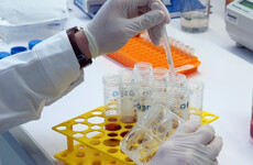 More than 3,300 live animals used for research at NUI Galway