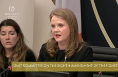 Eighth Amendment committee to vote on repealing the Eighth today