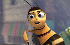 The Netflix user who watched Bee Movie 357 times this year has come forward to explain why