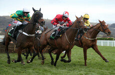 So often the bridesmaid, My Tent Or Yours sees off The New One at Cheltenham