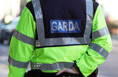 Elderly man beaten over the head with a stick during Offaly burglary