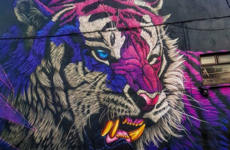 Double Take: The facts behind *that* unmissable tiger mural in Waterford