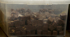 'Build it right and they will come': Visitors are flocking to this rural chocolate factory